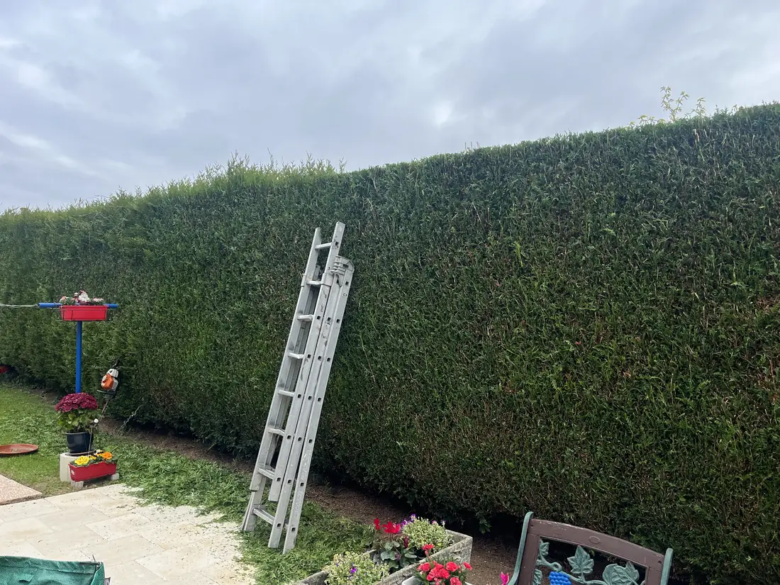 Paysagiste Caen Calvados — jardin paysager premium