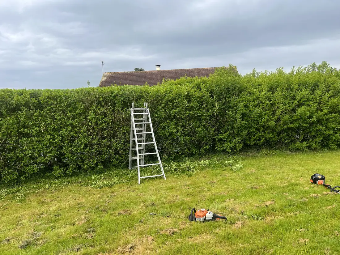 Taille de haie à l'échelle devant une maison à Caen